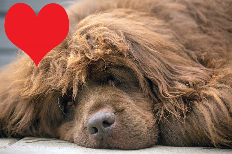 Herzlichen Dank für die Spenden