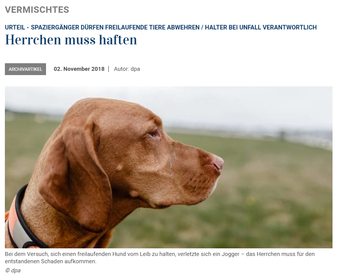 Herrchen muss haften!