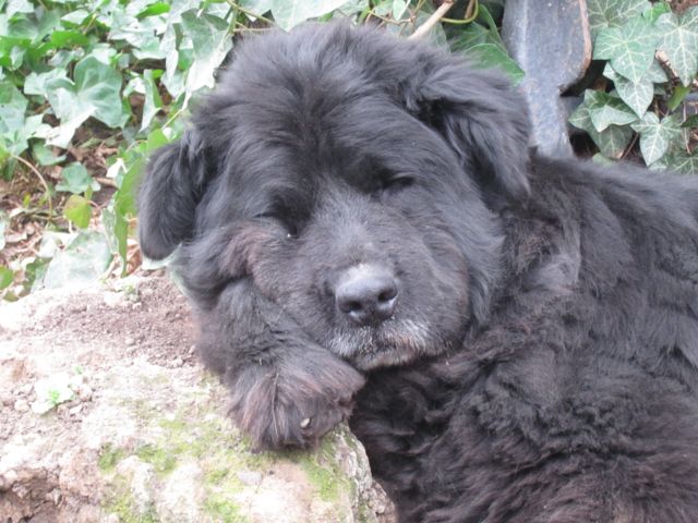 Macy die Kämpferin!!!