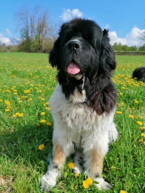 Nachruf für Jennifer Aniston vom Gelderland