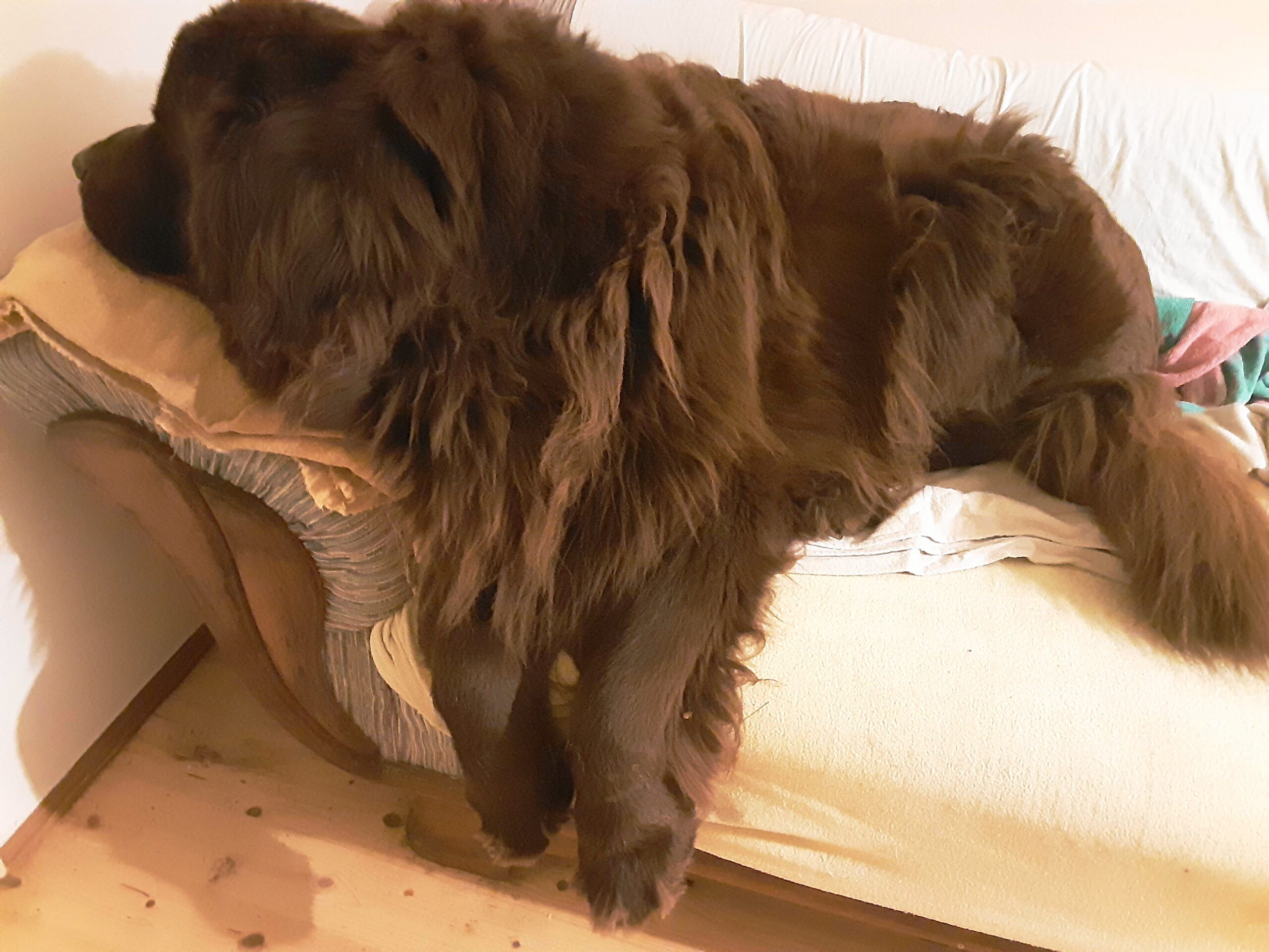 …..“Nichts ist mehr so, wie es einmal war ….“ Im 2ten Jahr von Corona