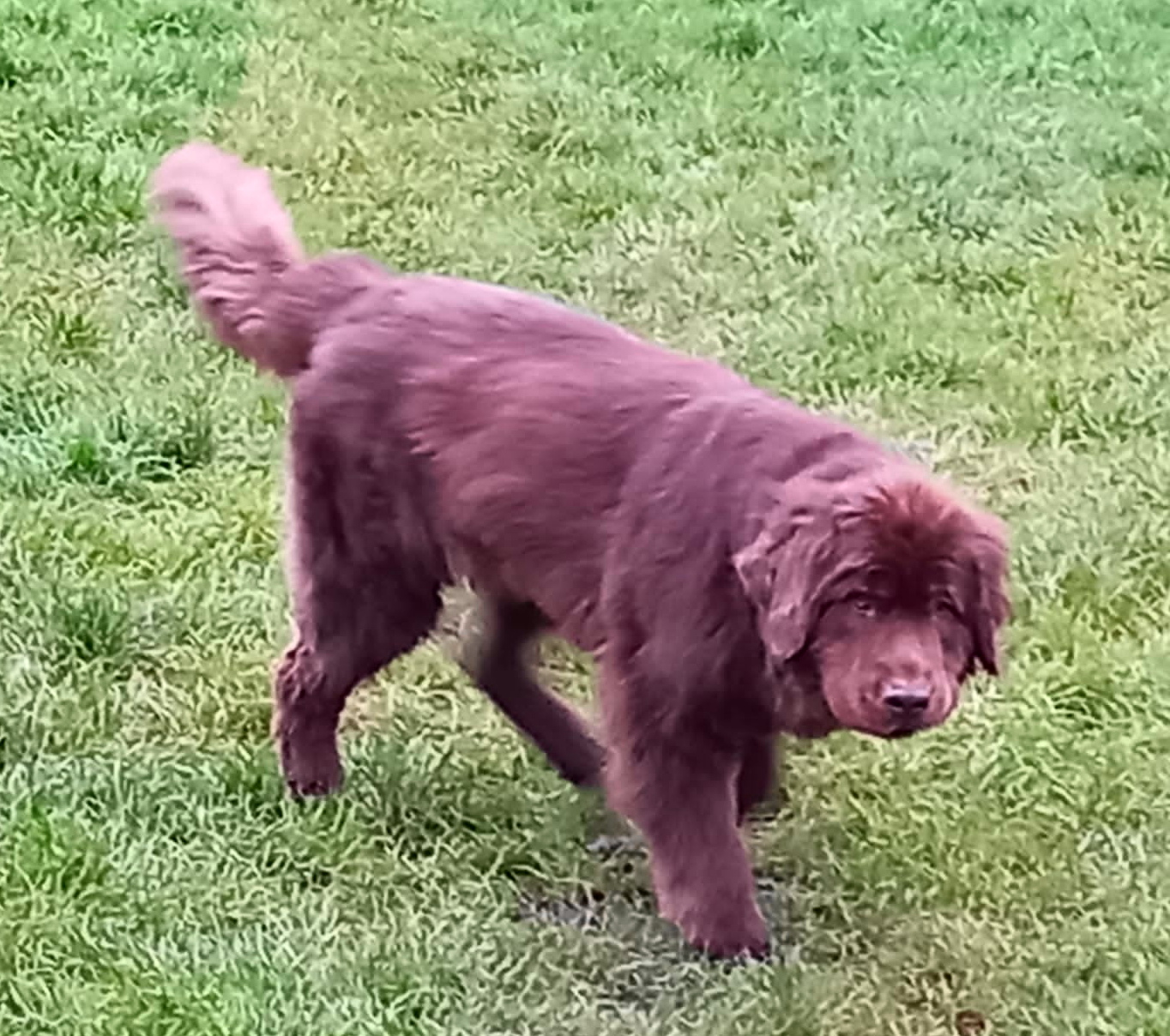 Jule sucht nicht mehr!