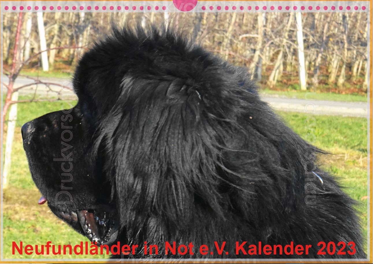 Kalender 2023 –im Januar aktualisiert–