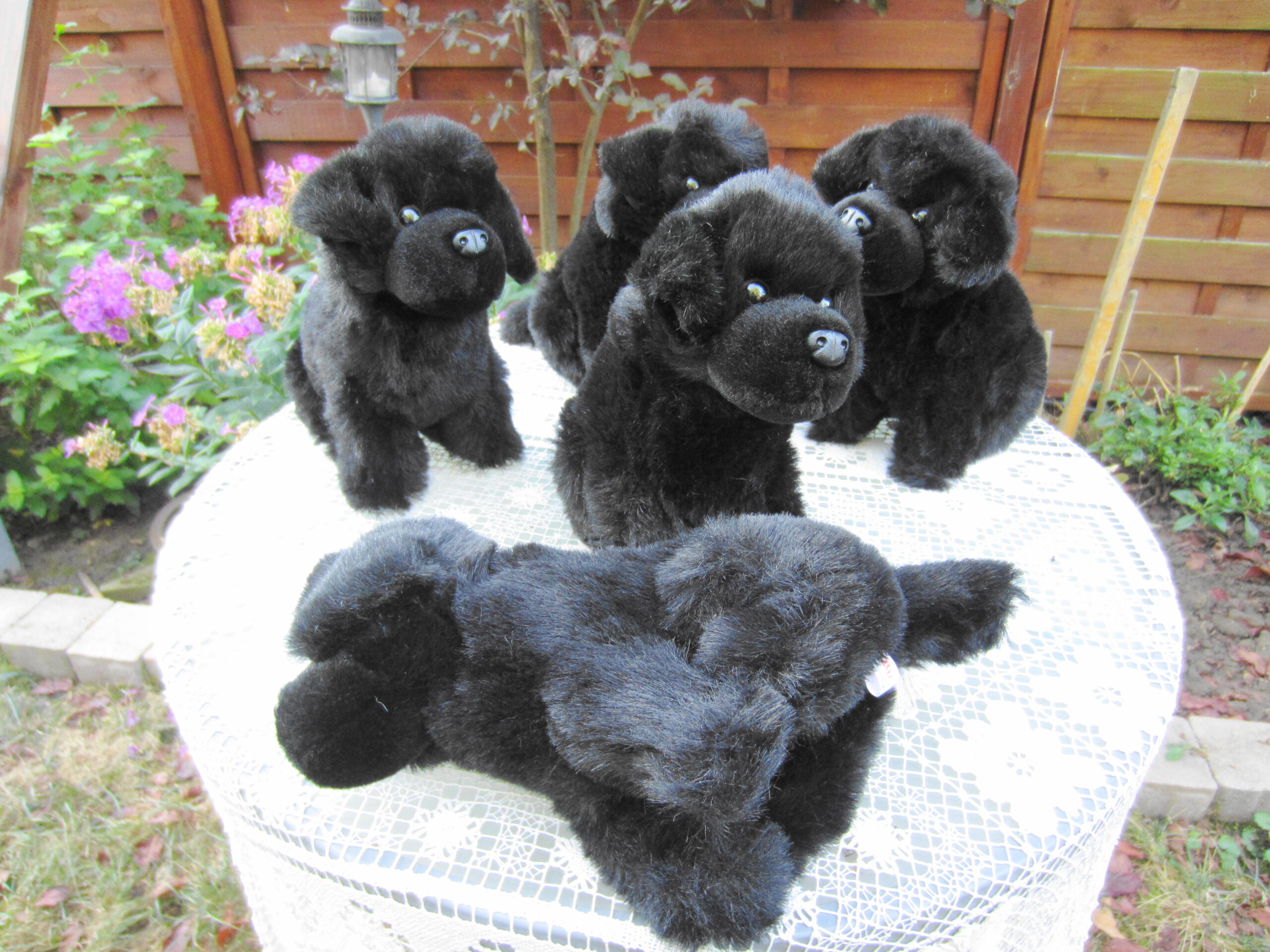 Plüti Neufundländer