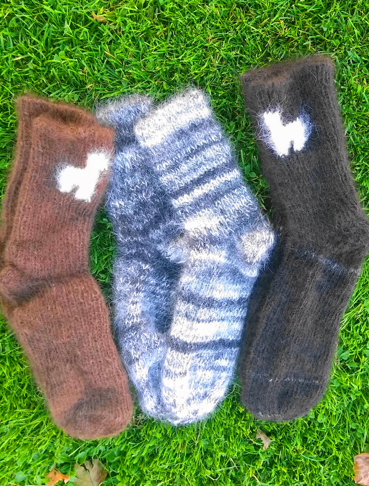 Auch in diesem Jahr wird es wieder Winter – und kalt!